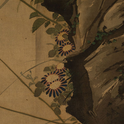 小泉斐 ( 1770 - 1854 )