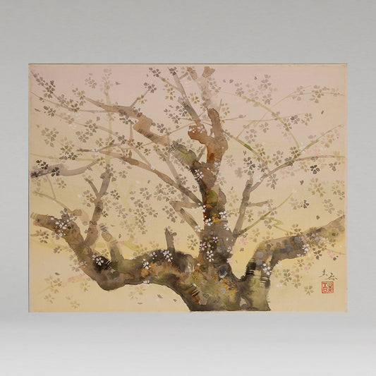 木村圭吾（京都 1944 年 - ）