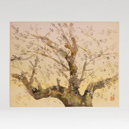 木村圭吾（京都 1944 年 - ）
