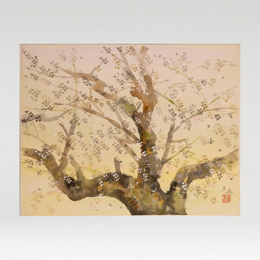 木村圭吾 (京都 1944 - )