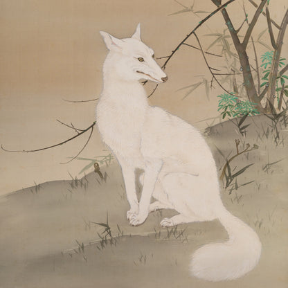[K0527] Gyokkei Mochizuki (1874–1938) / White Fox on a Spring Evening