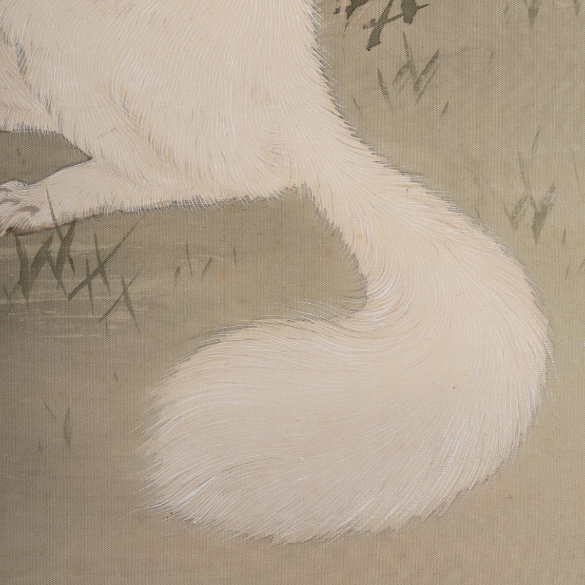[K0527] Gyokkei Mochizuki (1874–1938) / White Fox on a Spring Evening