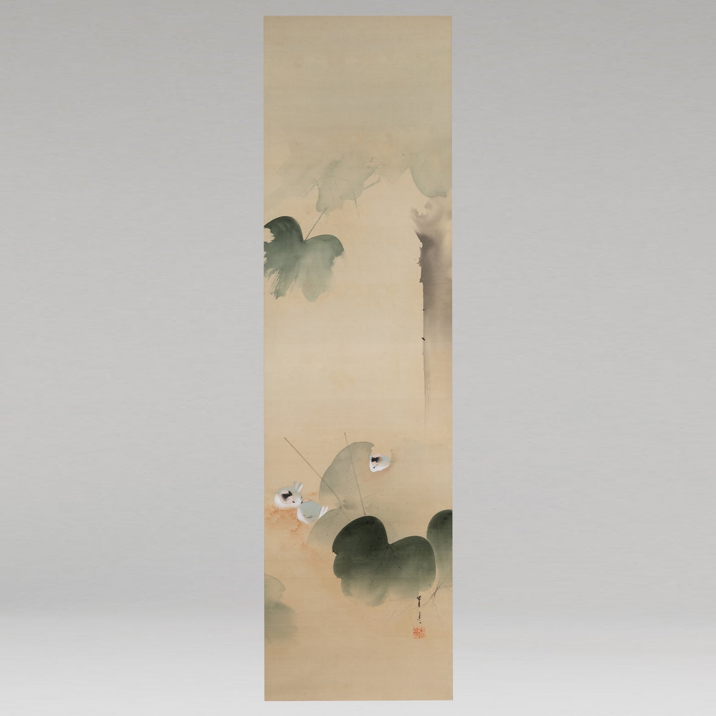 [K0532] 渡邊省亭／葛與小鳥圖掛軸