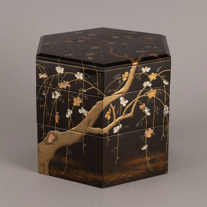 蒔絵嵐山文六角提重