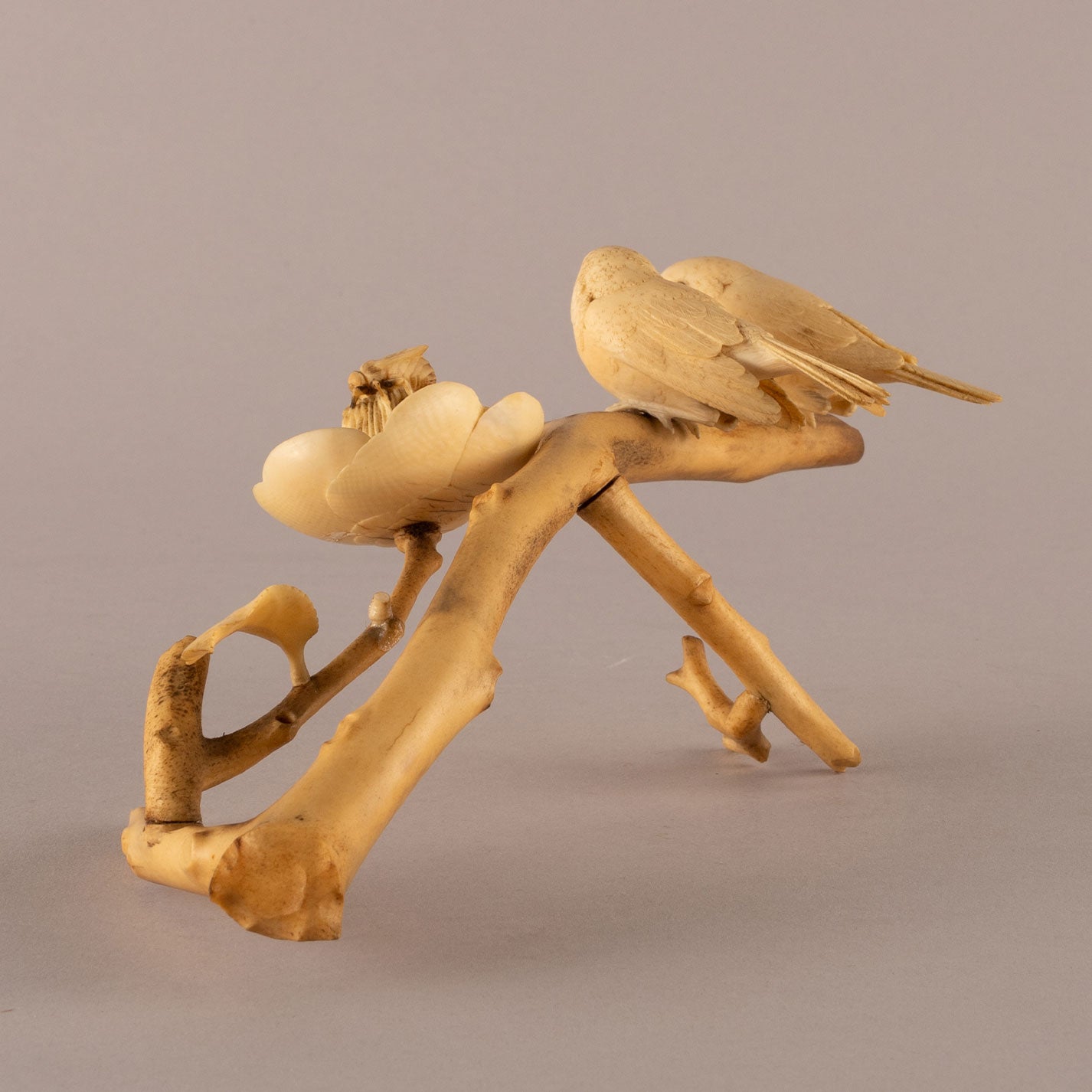 Ivory camellia and bird ornament