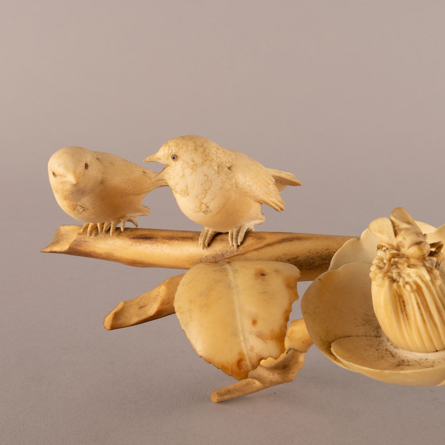 Ivory camellia and bird ornament