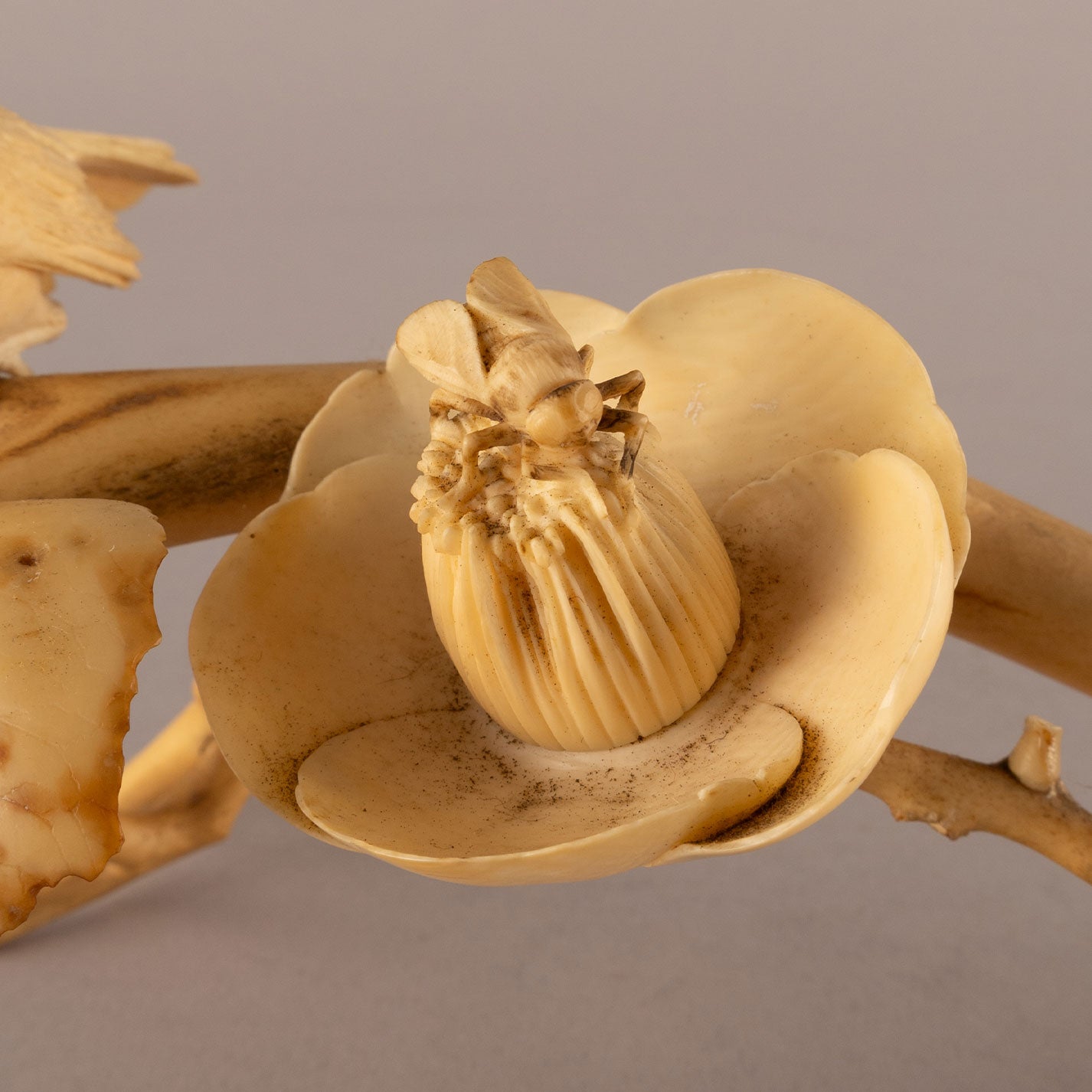 Ivory camellia and bird ornament