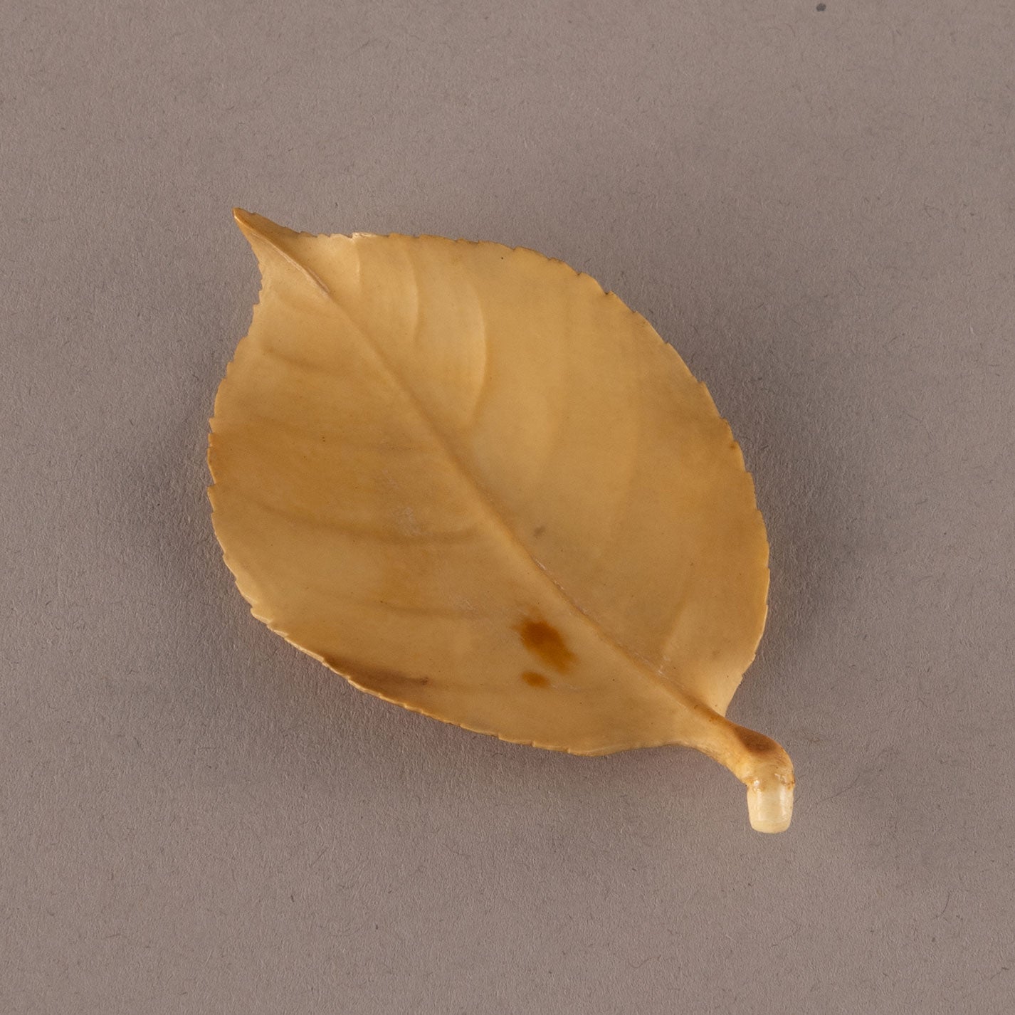 Ivory camellia and bird ornament