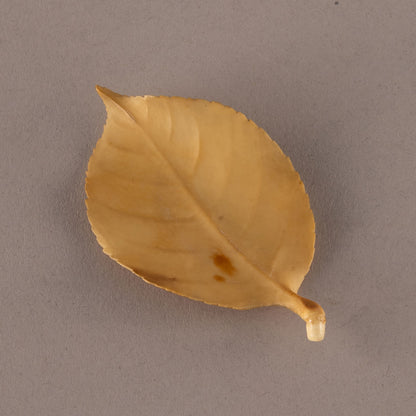 象牙山茶花上的雙鳥裝飾品