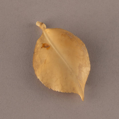 象牙山茶花上的雙鳥裝飾品