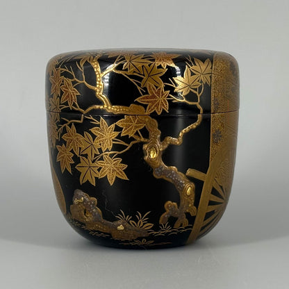 Makie lacquered natsume type tea caddy "Courtly carriage with autumn leaves"