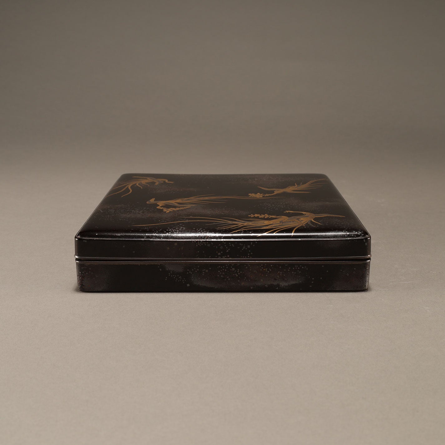 中山胡民 ( 1808 - 1870 )