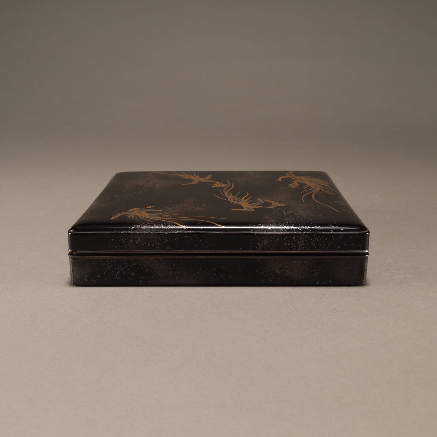 中山胡民 ( 1808 - 1870 )