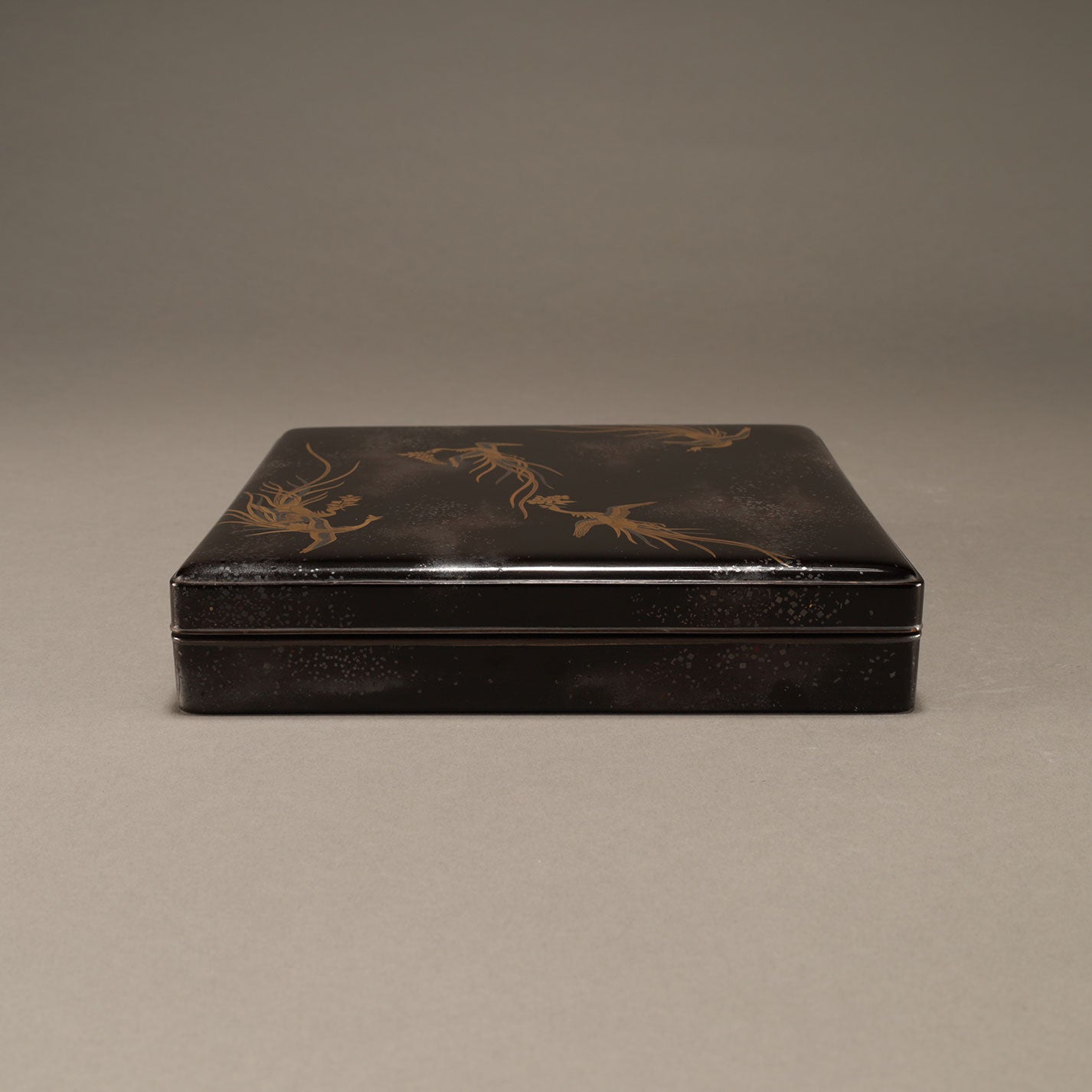 中山胡民 ( 1808 - 1870 )