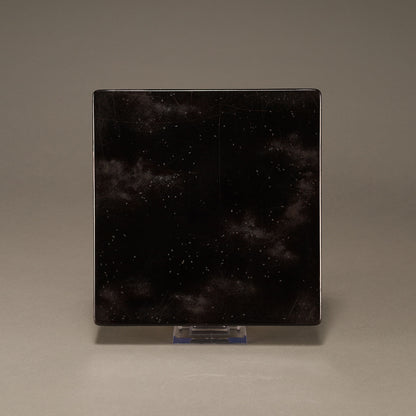 中山胡民 (1808 - 1870)