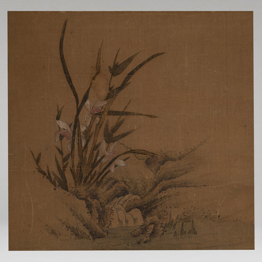 [Q0223] 佚名／蘭花圖