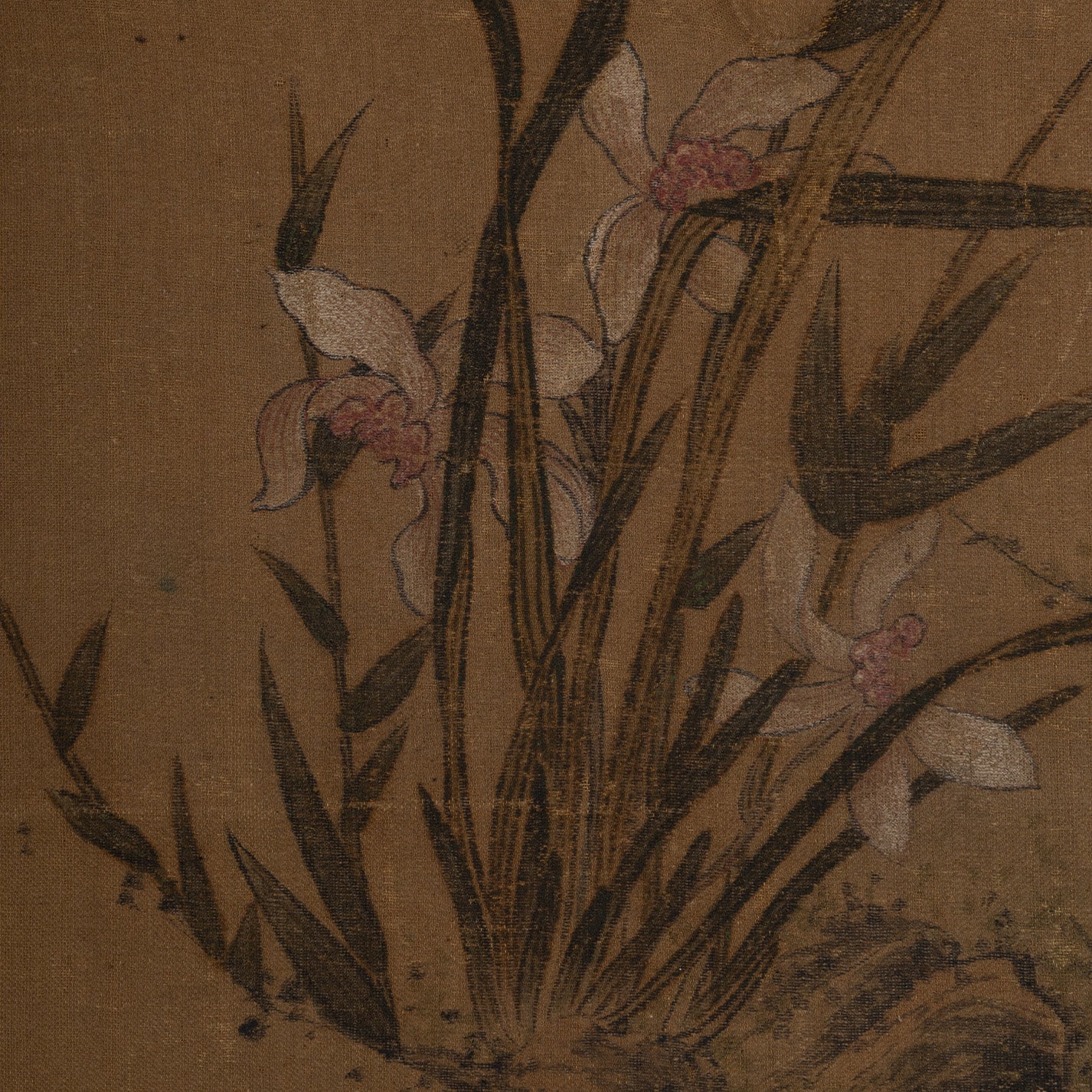 [Q0223] 佚名／蘭花圖