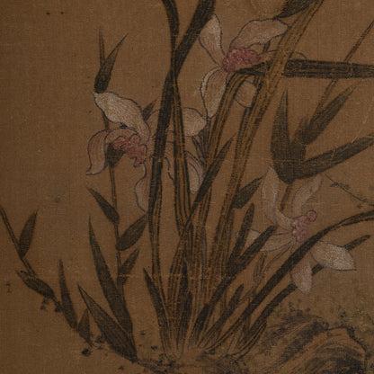 [Q0223] 佚名／蘭花圖