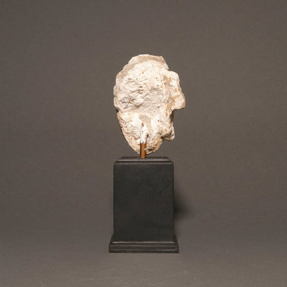 Terracotta Buddha Head [V0125]