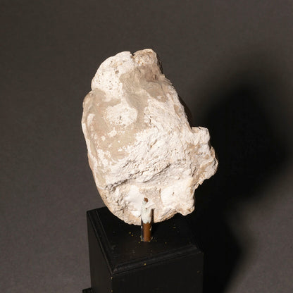 Terracotta Buddha Head [V0125]